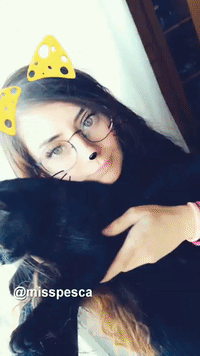 #love #cat GIF