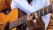 GIF by Partisan Records
