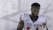 Carson Newman Football GIF by Carson-Newman Athletics