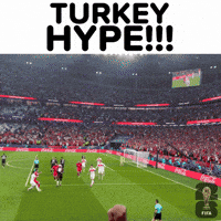 World Cup 2026 Turkey GIF