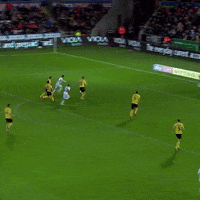 Swansea City Win GIF by MillwallFC