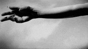 Hand Reaching Out GIF by erica shires