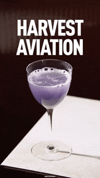 Happy Hour Cheers GIF by American Harvest Vodka