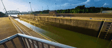kentucky louisville GIF
