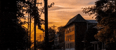 kentucky louisville GIF