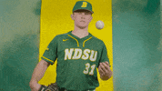 North Dakota State Baseball GIF by NDSU Athletics