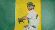North Dakota State Baseball GIF by NDSU Athletics