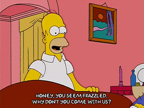 homer simpson GIF