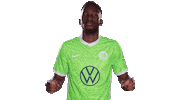Football Swipe Up Sticker by VfL Wolfsburg