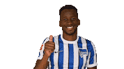Home Swipe Up Sticker by Hertha BSC