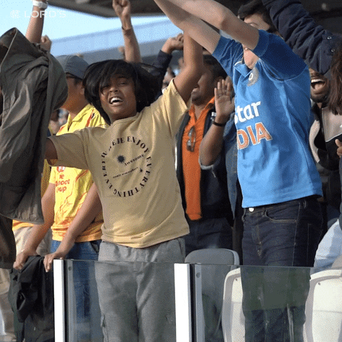 Cricket fans celebrating