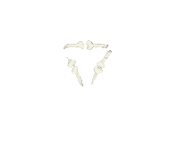 logo bones Sticker by Peter Bjorn and John