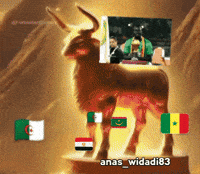 Morocco Algeria GIF