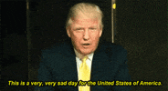 trying donald trump GIF
