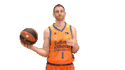 Liga Endesa Sport Sticker by ACB