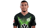 Soccer Instagram Sticker by VfL Wolfsburg