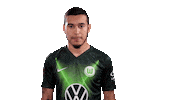 Soccer Instagram Sticker by VfL Wolfsburg