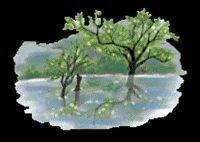 South Korea Travel GIF by vank