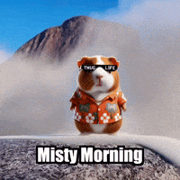 Guinea Pig Mountain GIF by Guinea Gambino