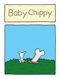 GIF by Chippy the dog
