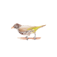 Horatiord Sticker by Hire Horatio