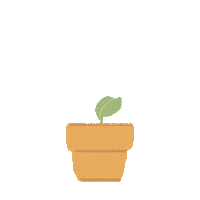 misotuna nature flower plant grow Sticker
