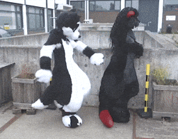 Furrie Dancing GIF by Minky Mom