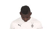 Happy Line Up Sticker by Bundesliga