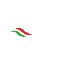 federcanoa kayak canoe canoa fick Sticker