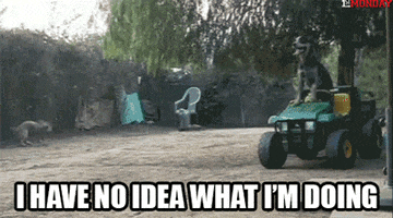 GIF by FirstAndMonday