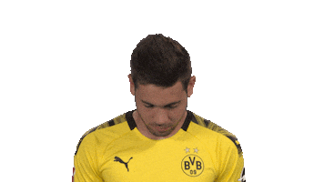 Its Me Hello Sticker by Bundesliga