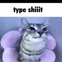 Type Shiii GIF