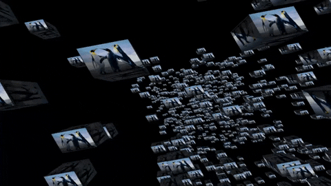 Proagjin giphyupload GIF