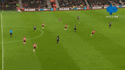 Southampton GIF by MolaTV