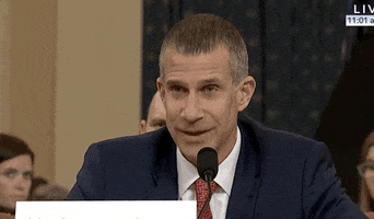 news impeachment impeachment inquiry steve castor GIF