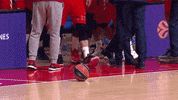 Crvena Zvezda Football GIF by EuroLeague