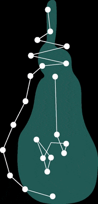 Medusept meduse medusept travelwithpersonality GIF