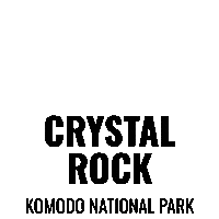 Crystalrock Sticker by Dragon Dive Komodo