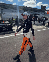 Pato GIF by Arrow McLaren IndyCar Team