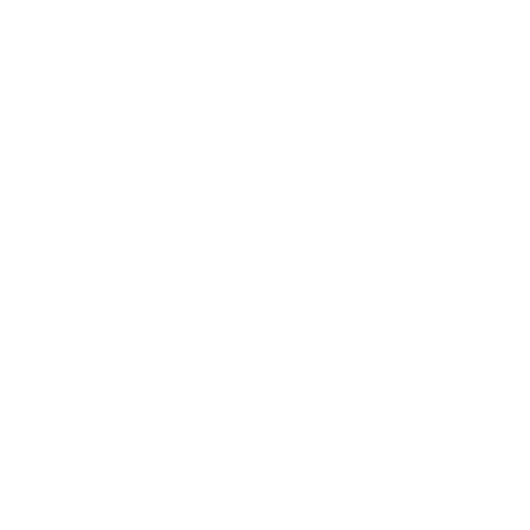 goosetheband giphyupload logo 2021 coach Sticker