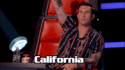 adam levine television GIF by The Voice
