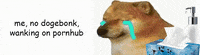 Dog Bonking GIF by DogeBONK