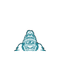 Lafayettecolorado Sticker by Falafayette