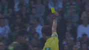 bundesliga werder GIF