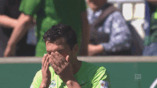 bundesliga werder GIF
