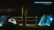 GIF by Rockshore