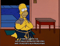homer simpson episode 22 GIF