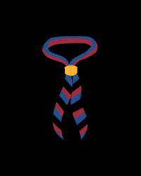 Cau GIF by Escoltes Catalans