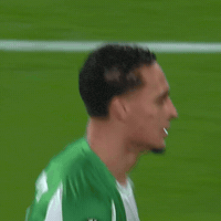 olivobrillante antony real betis real betis balompié besar el escudo GIF