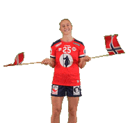 Handball Nhf Sticker by Norges Håndballforbund